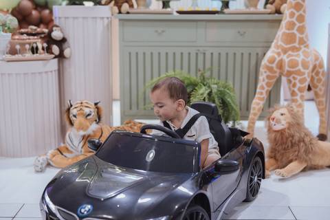 Aniversário infantil com tema de Safari'