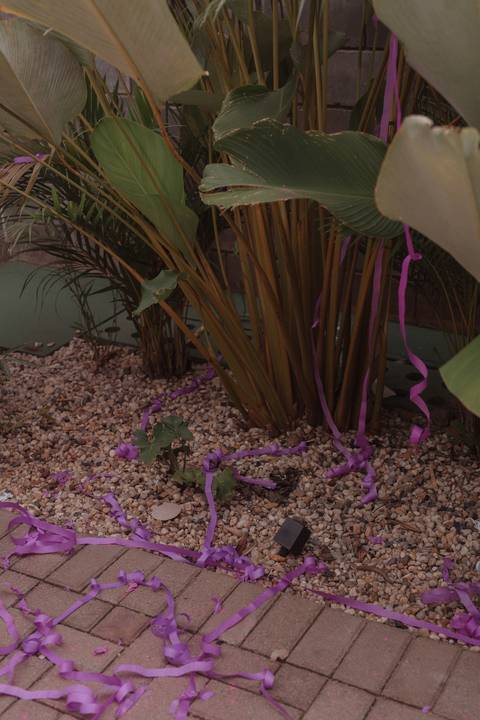 Inspiração de Chá revelação de dia '