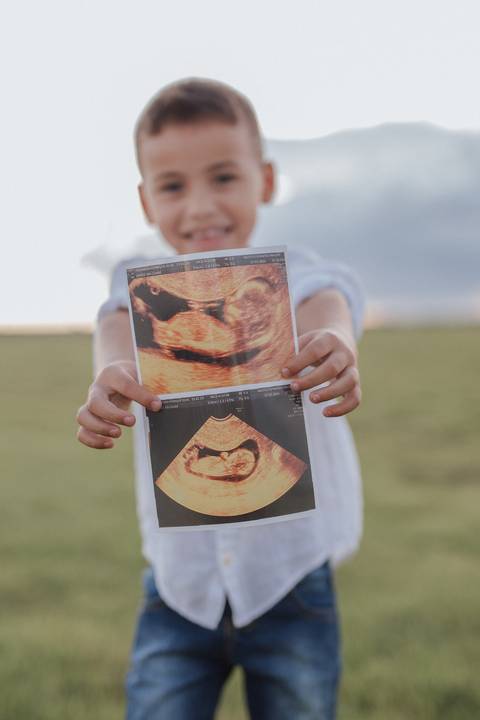 Ensaio revelação da gravidez no campo'