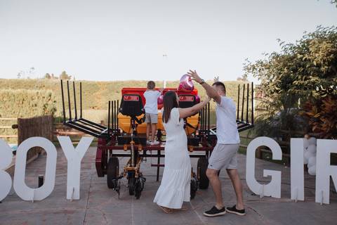 Inspiração de Chá revelação de dia '