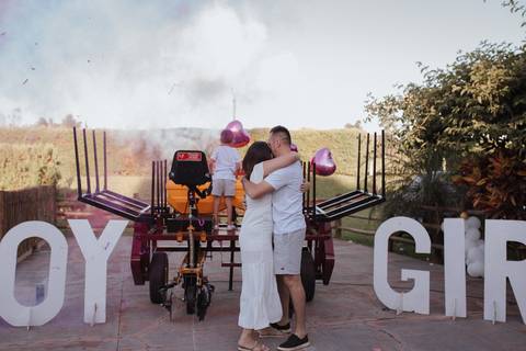 Inspiração de Chá revelação de dia '