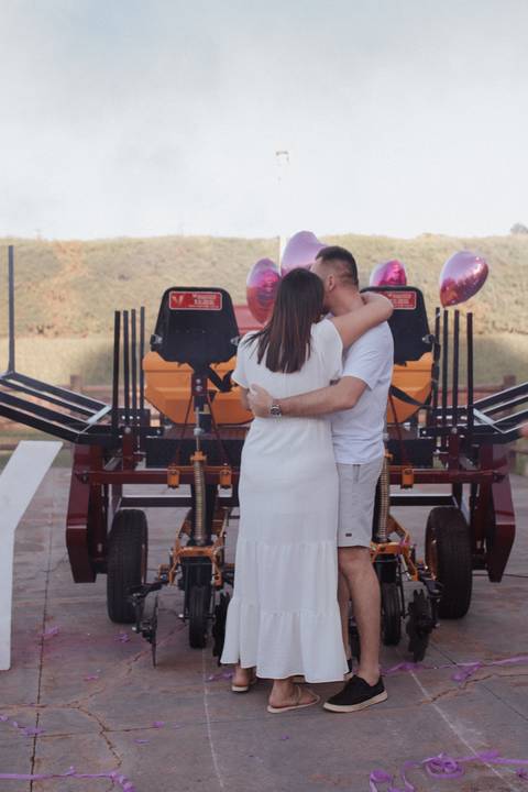 Inspiração de Chá revelação de dia '