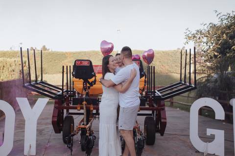 Inspiração de Chá revelação de dia '