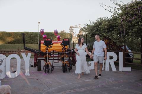 Inspiração de Chá revelação de dia '