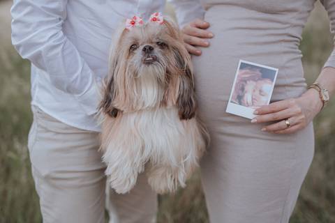Ensaio de gestante no campo'