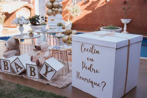 Inspiração de Chá revelação de dia '