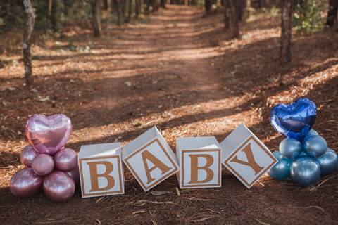 Ensaio revelação da gravidez na floresta'