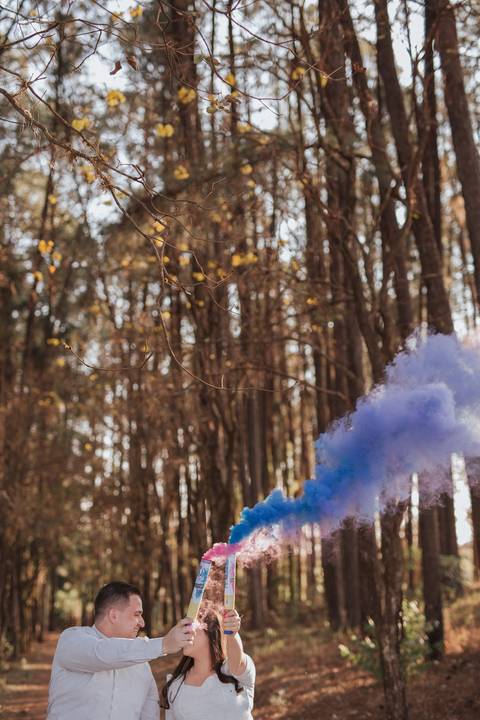 Ensaio revelação da gravidez na floresta'