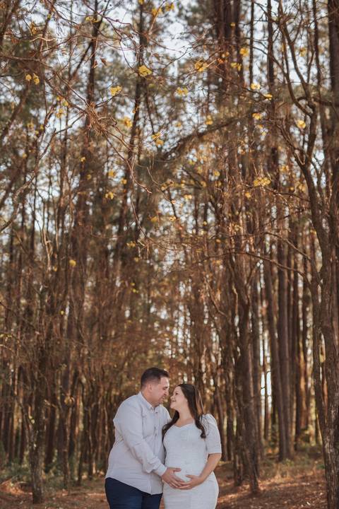 Ensaio revelação da gravidez na floresta'