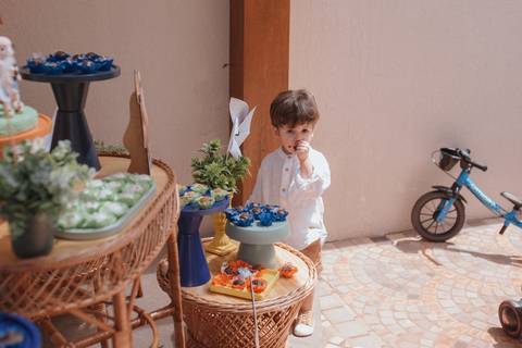 Aniversário infantil com tema UP ALTAS AVENTURAS'