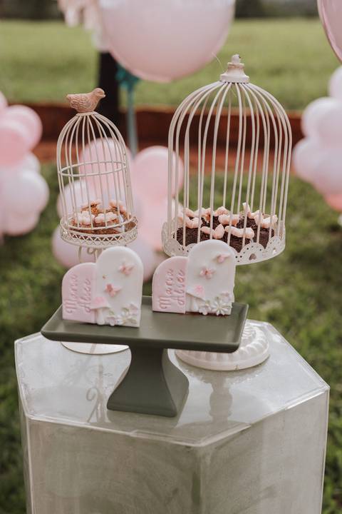 Aniversário infantil com tema jardim '