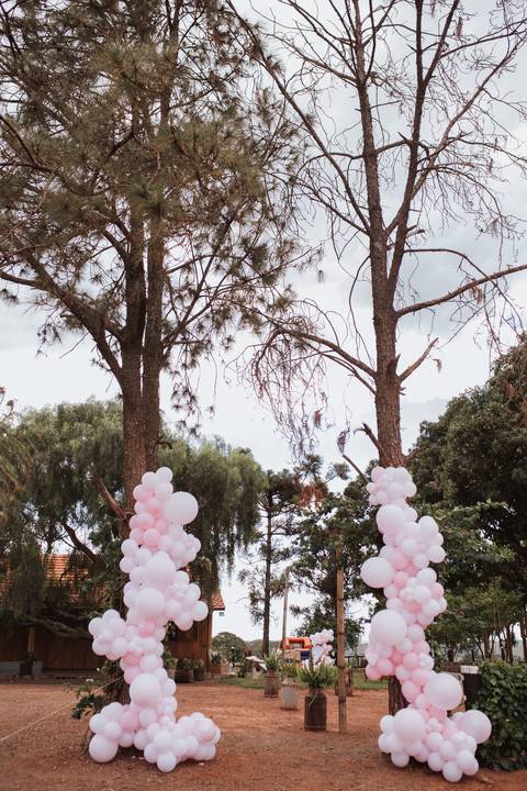 Aniversário infantil com tema jardim '