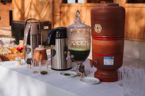 Aniversário infantil com tema jardim '