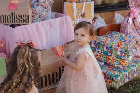 Aniversário infantil com tema jardim '