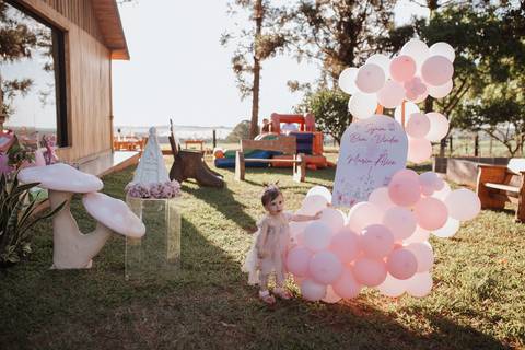 Aniversário infantil com tema jardim '