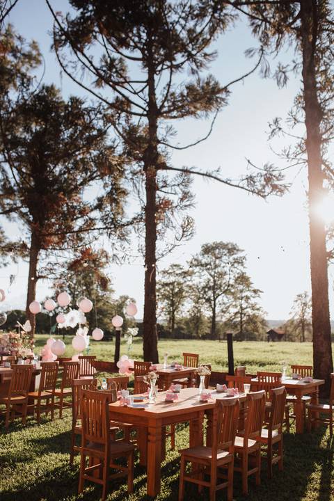 Aniversário infantil com tema jardim '