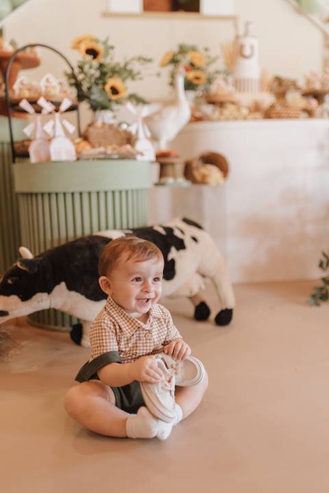 Aniversário infantil com tema de fazenda'
