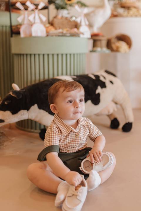 Aniversário infantil com tema de fazenda'