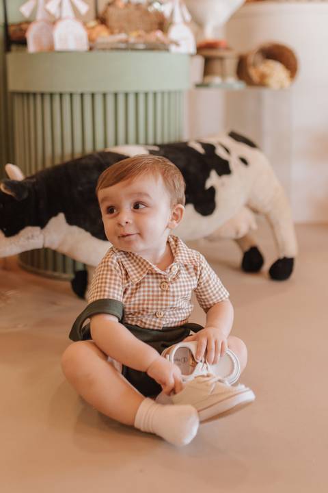 Aniversário infantil com tema de fazenda'