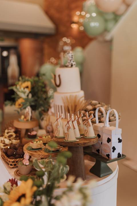 Aniversário infantil com tema de fazenda'