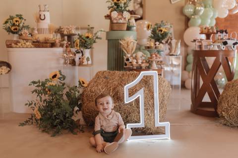 Aniversário infantil com tema de fazenda'