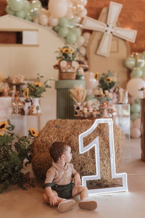 Aniversário infantil com tema de fazenda'