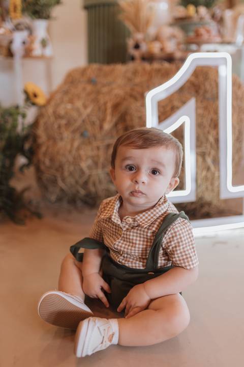Aniversário infantil com tema de fazenda'