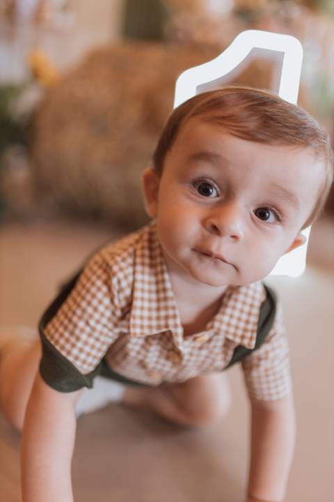 Aniversário infantil com tema de fazenda'