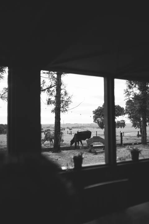 Aniversário de 1 ano com tema de lavanda'