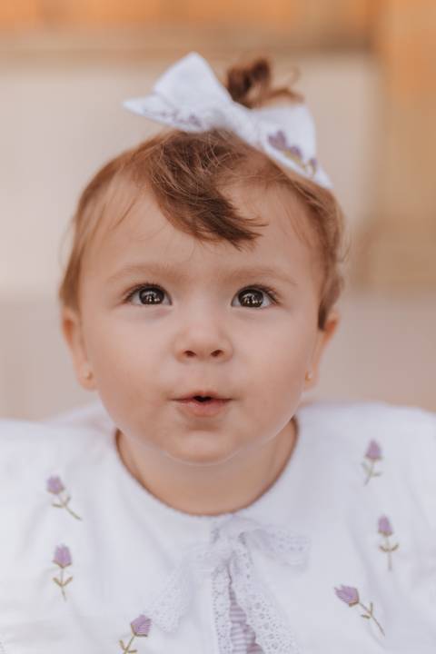 Aniversário de 1 ano com tema de lavanda'