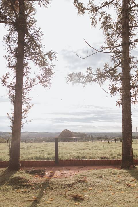 Aniversário de 1 ano com tema de lavanda'