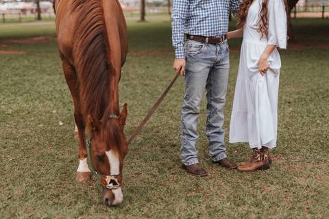 Ensaio de casa no campo, country '
