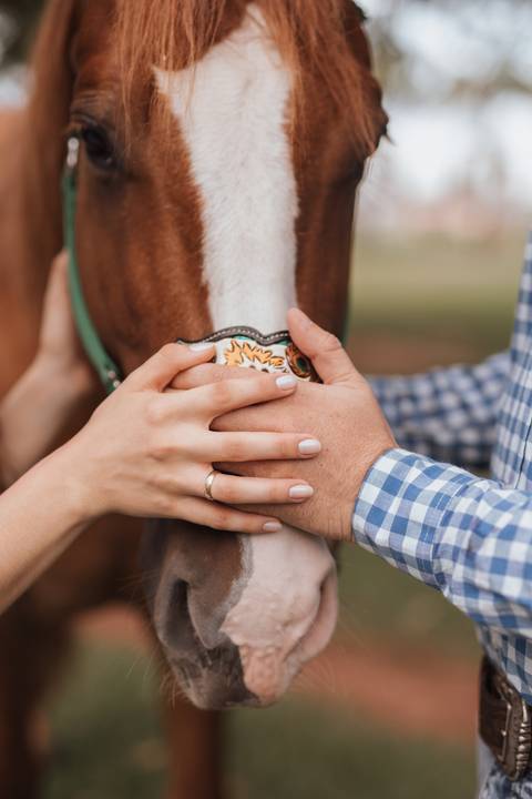Ensaio de casa no campo, country '