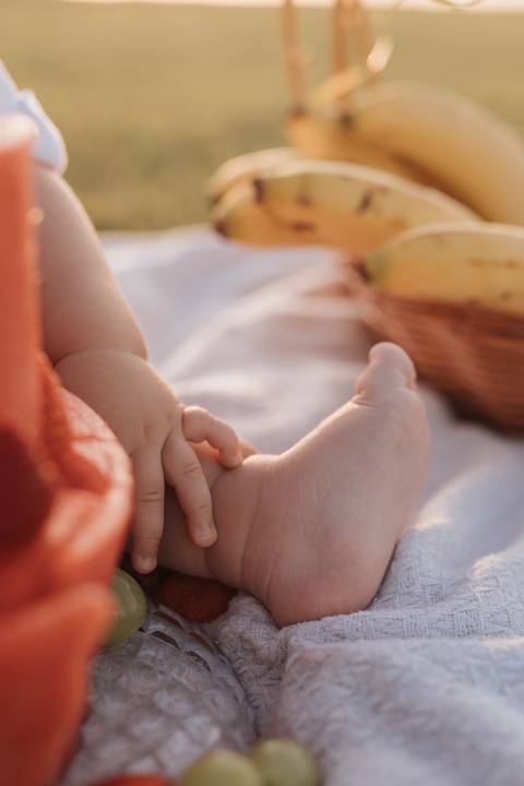 smash the cake no campo'