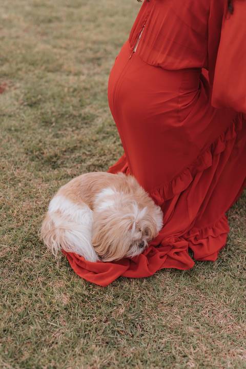 Ensaio em família no campo'