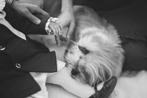 Ensaio em família no campo'