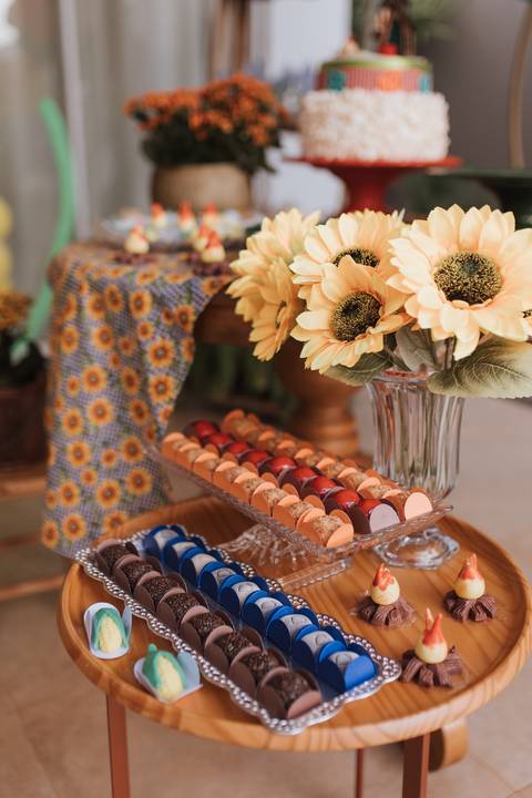 Aniversário infantil com tema de São João'