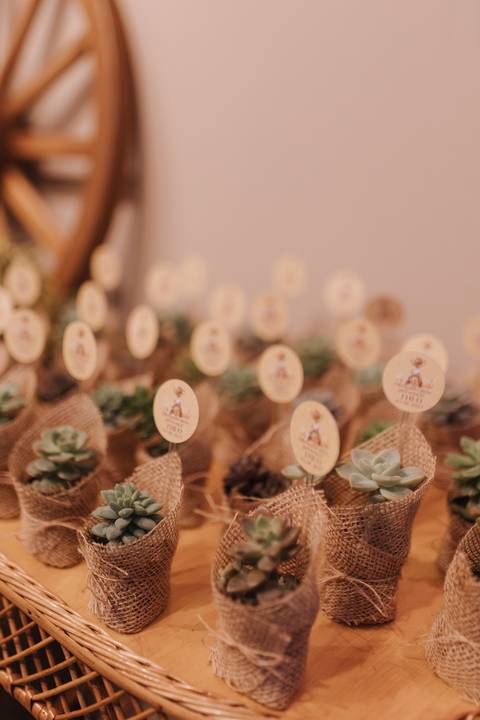 Aniversário infantil com tema de fazenda'