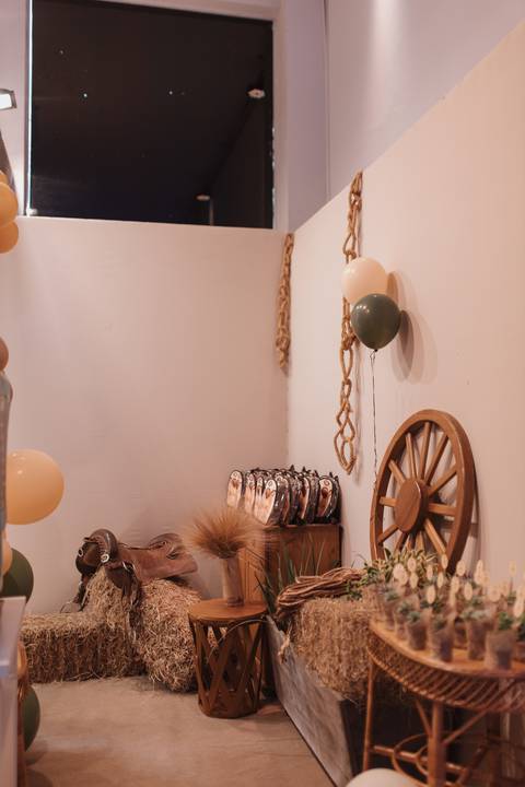 Aniversário infantil com tema de fazenda'