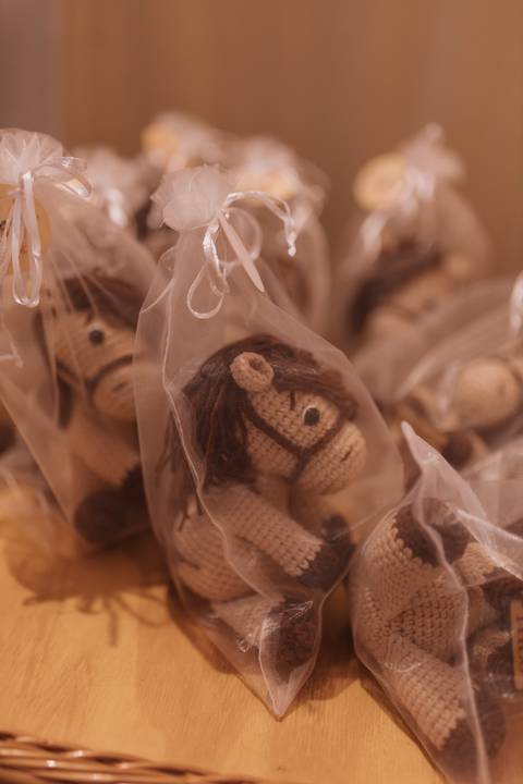 Aniversário infantil com tema de fazenda'