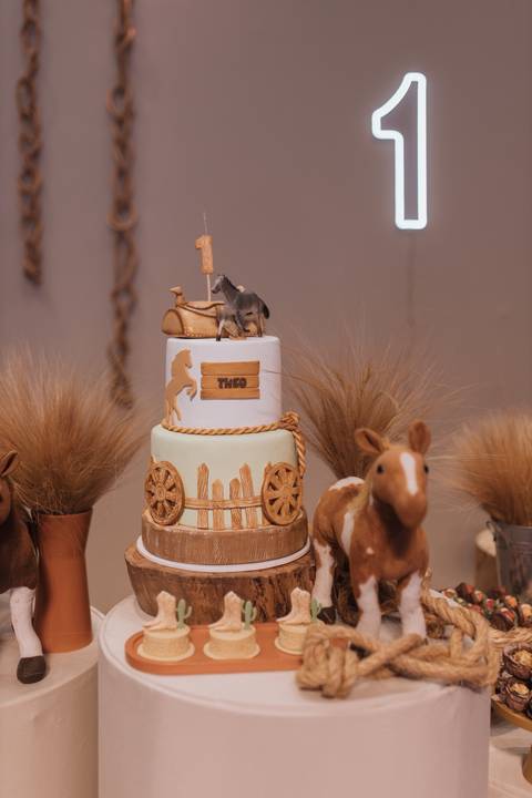 Aniversário infantil com tema de fazenda'