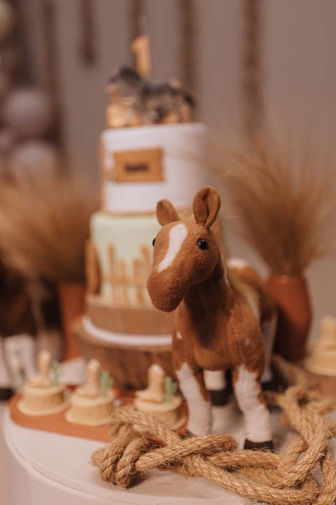 Aniversário infantil com tema de fazenda'