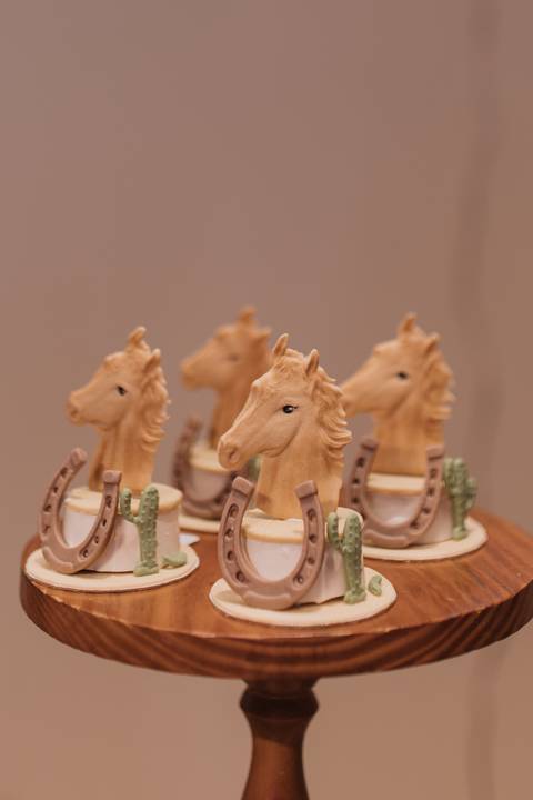 Aniversário infantil com tema de fazenda'