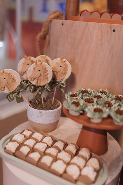 Aniversário infantil com tema de fazenda'