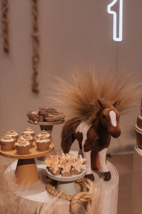 Aniversário infantil com tema de fazenda'