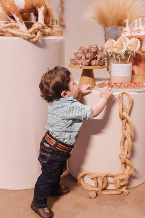 Aniversário infantil com tema de fazenda'