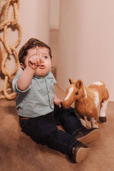 Aniversário infantil com tema de fazenda'
