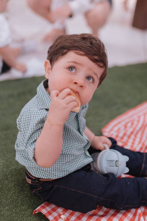 Aniversário infantil com tema de fazenda'