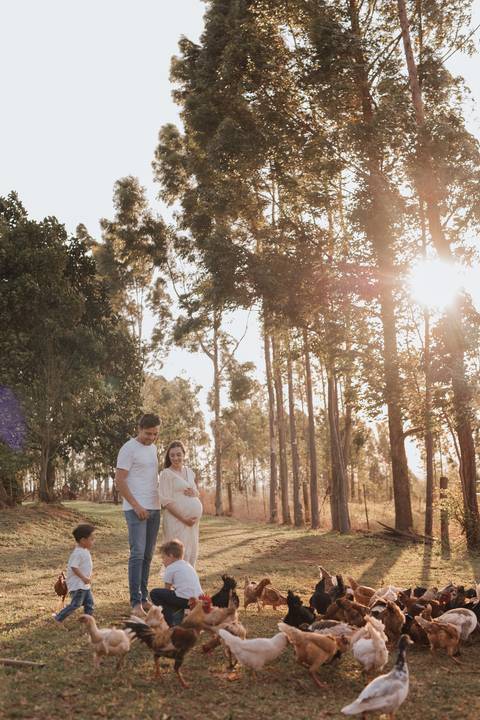 ensaio de gestante no campo '