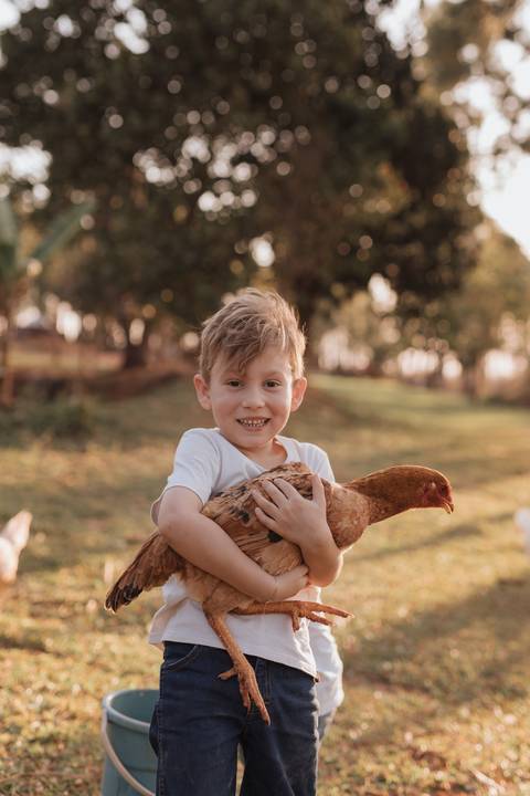 ensaio de gestante no campo '